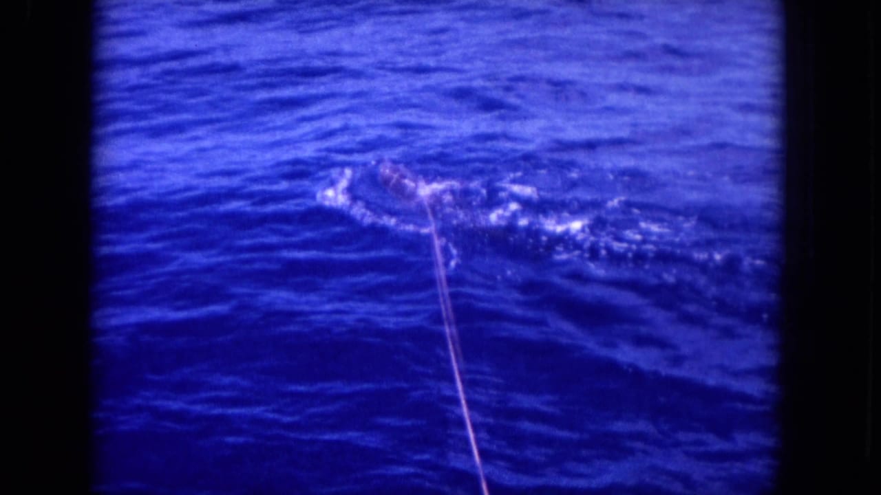 Large billfish thrashing near the surface of deep blue ocean beside a taut fishing line.