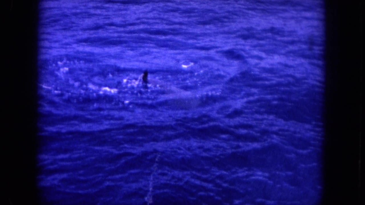Blue ocean surface seen from a boat, with a small dark shape and splash in the water.