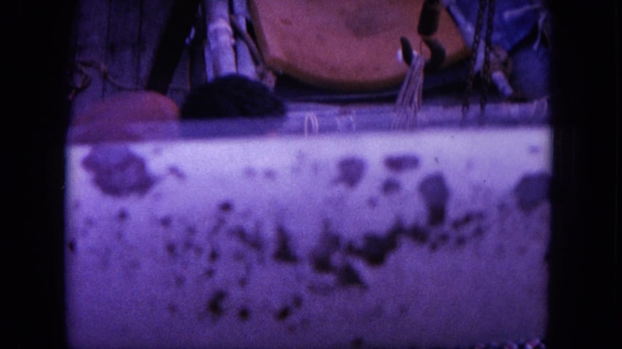 Blurred boat side and rigging appear above dark water or deck shadow.