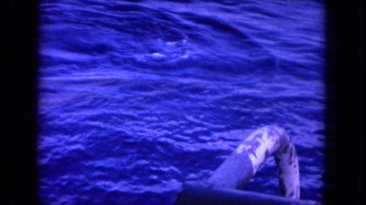 Large fish breaking the surface beside a boat in blue-tinted ocean water.