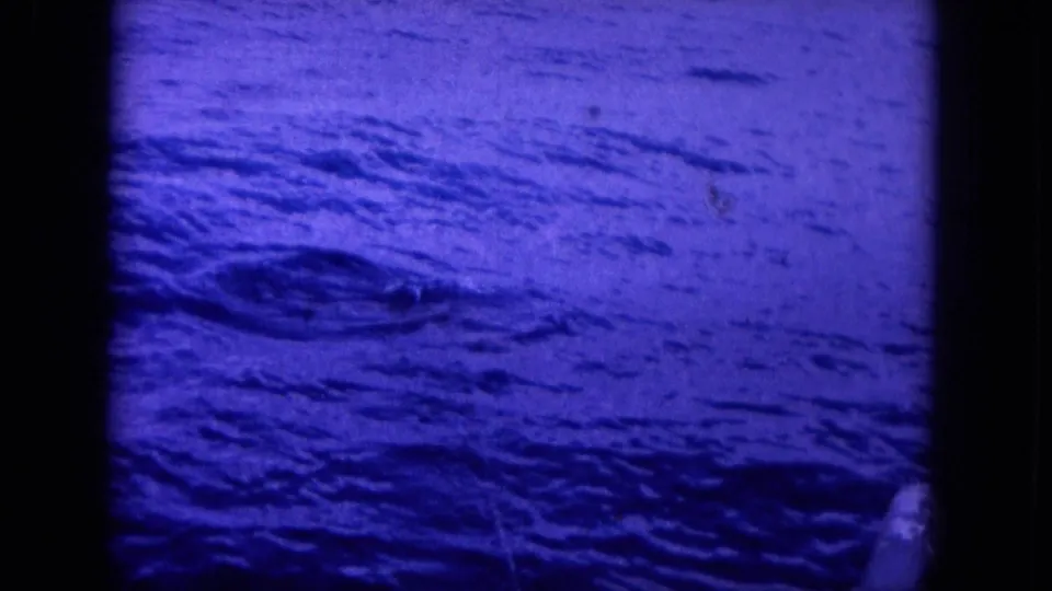 1964 Hawaii 8mm frame dominated by rippled blue ocean, with part of the fish visible near the lower right edge.