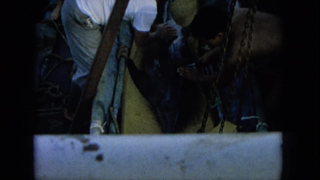 1964 Oahi, Hawaii 8mm frame showing men crowded around a wet dolphin on a boat deck with ropes and chains nearby.