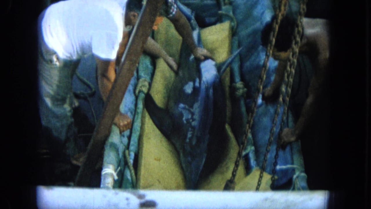 Close view of a dolphin on a boat deck with ropes, chains, and partial people nearby.