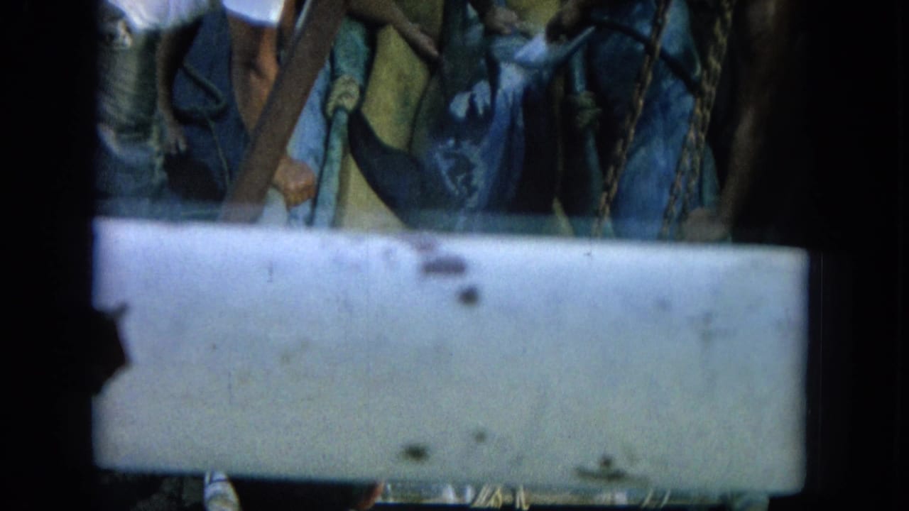 A pale board crosses the frame in front of a dolphin, ropes, chains, and partial figures.