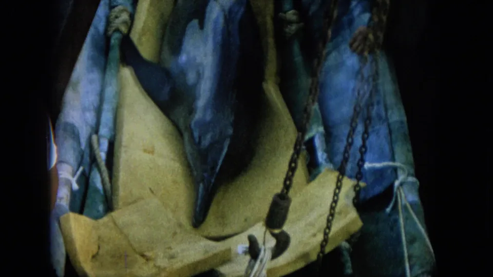1964 Hawaii 8mm frame showing a dolphin on a yellow boat deck surface beside chains, rope, and a hanging hook.