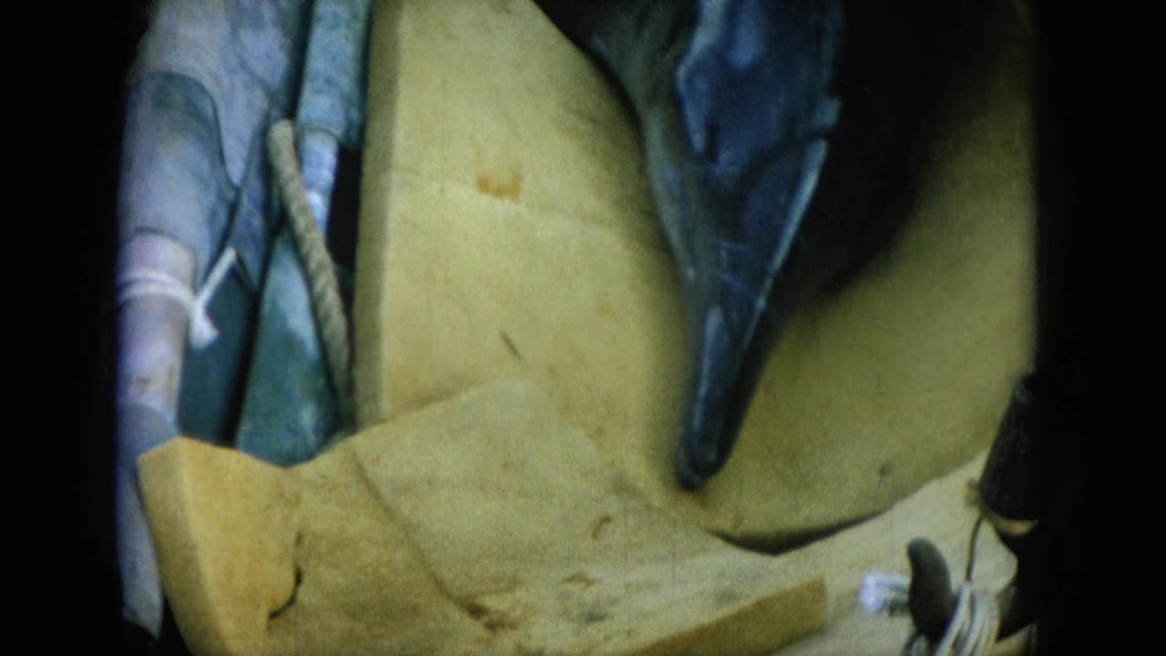 Close view of a large fish lying on a yellow tarp among ropes and boat gear.