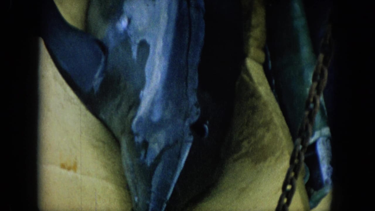 1964 Hawaii home-movie frame with a large fish partly filling the shot beside yellow tarp and surrounding boat hardware.