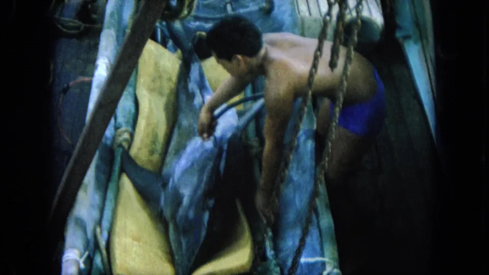 1964 Hawaii 8mm frame showing a shirtless adult fisherman in blue trunks leaning over a large fish in a tight boat space.