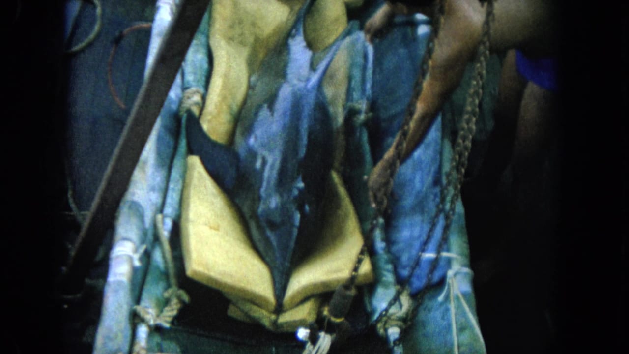 Dolphin body supported by yellow foam blocks on a dark ship deck.