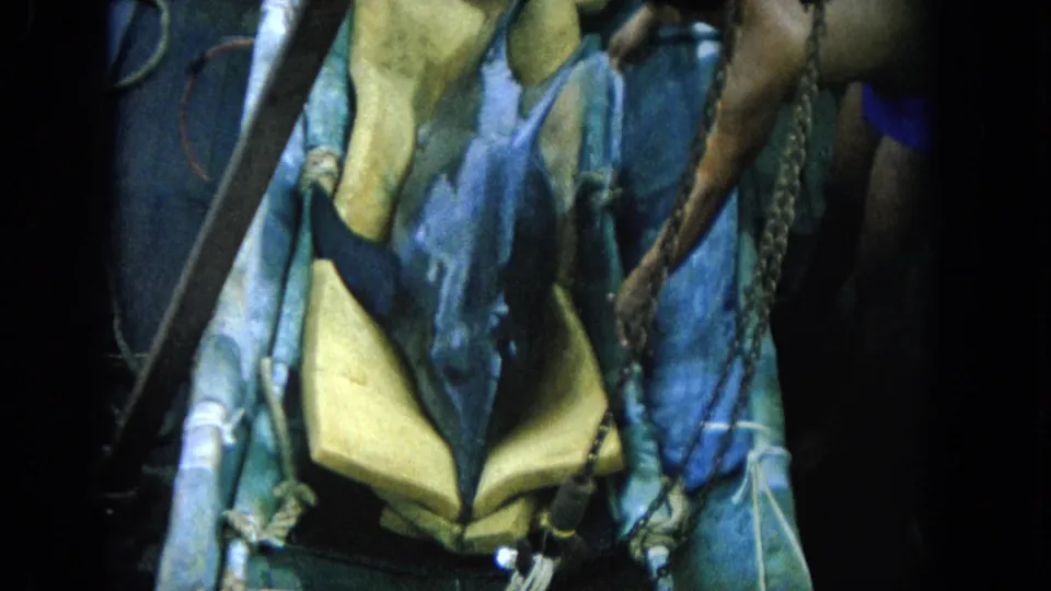 1964 Hawaii 8mm frame showing a dolphin supported on yellow foam in a shadowed shipboard area with rigging and chains nearby.