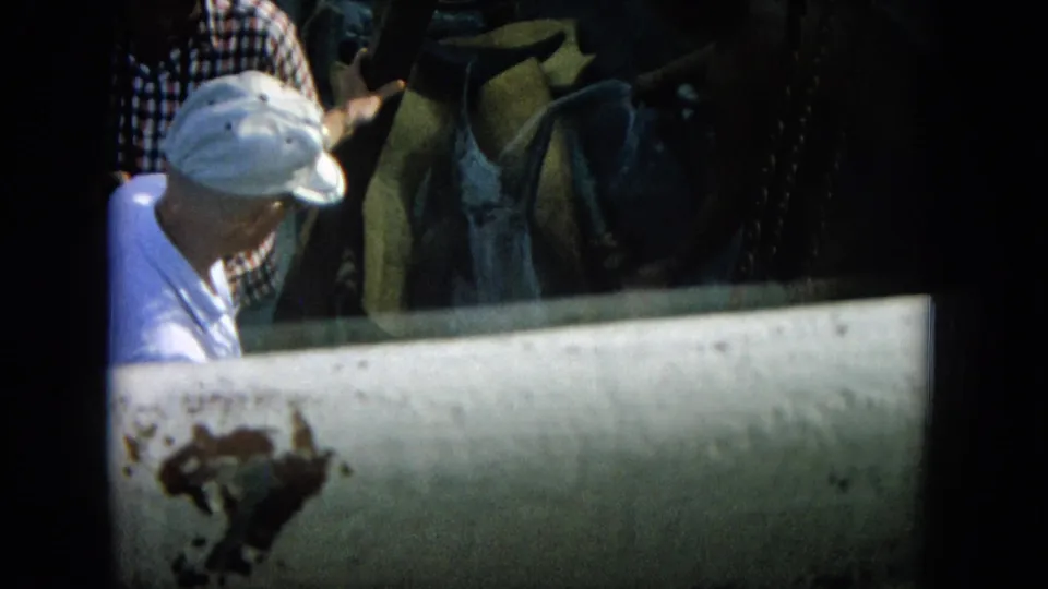 1964 Hawaii 8mm frame showing a man in a white cap leaning toward a dolphin on a dim ship deck with a metal rail in front.