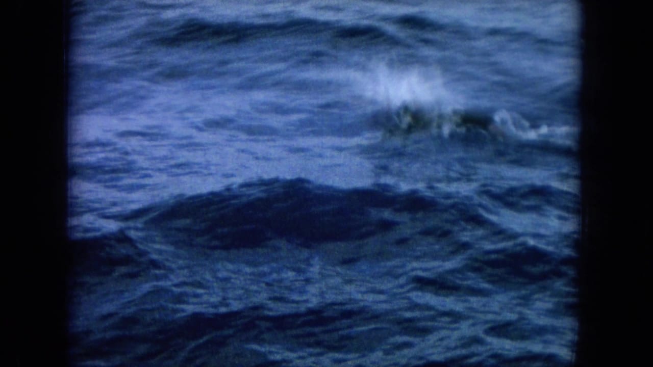 Dark blue ocean surface with a blurred marine shape and splash near the center.
