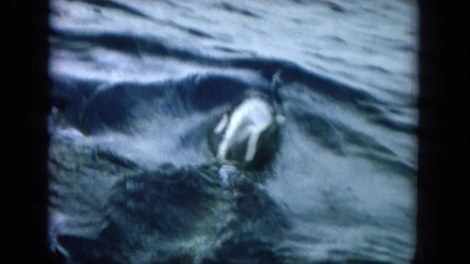 A possible dolphin body or splash is visible in soft 1964 8mm ocean footage, framed tightly against moving blue water.