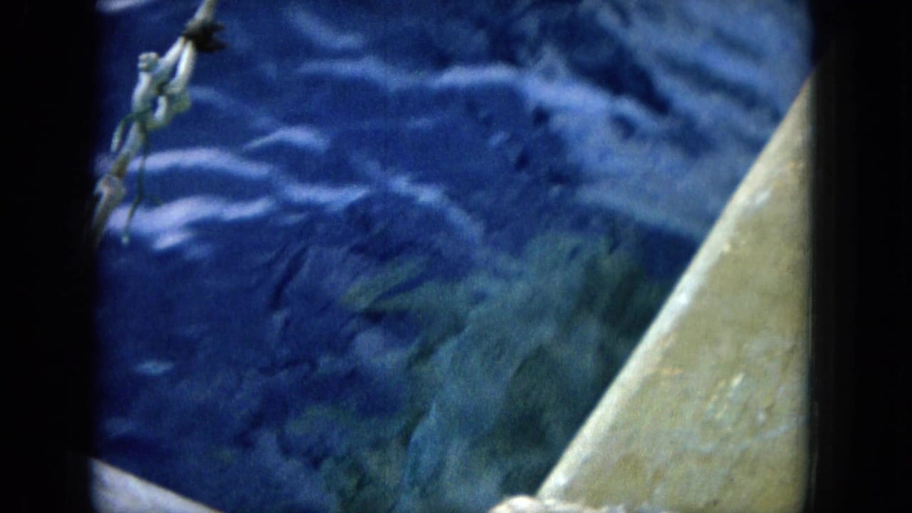 Dolphin or marine animal surfacing beside the boat in blue open water.
