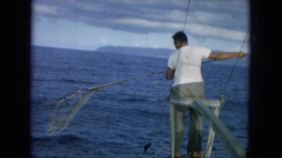 A man in a white shirt works beside a boat rail with a net over blue water, with distant land visible on the horizon.