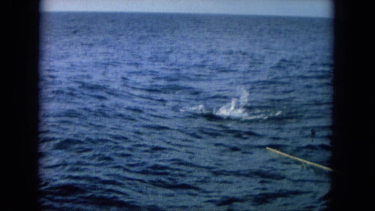 Open ocean with a small splash where a fishing line or object hits the water.
