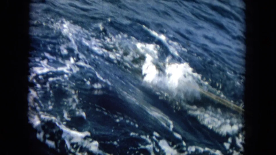 1964 Oahu 8mm frame showing a fish or fishing-line disturbance moving through dark water with white foam.