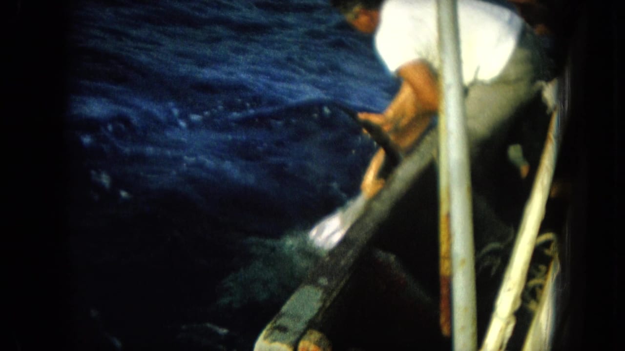 In the Hawaii fishing footage, an adult man crouches or leans near the boat rail while rough blue water fills most of the frame.
