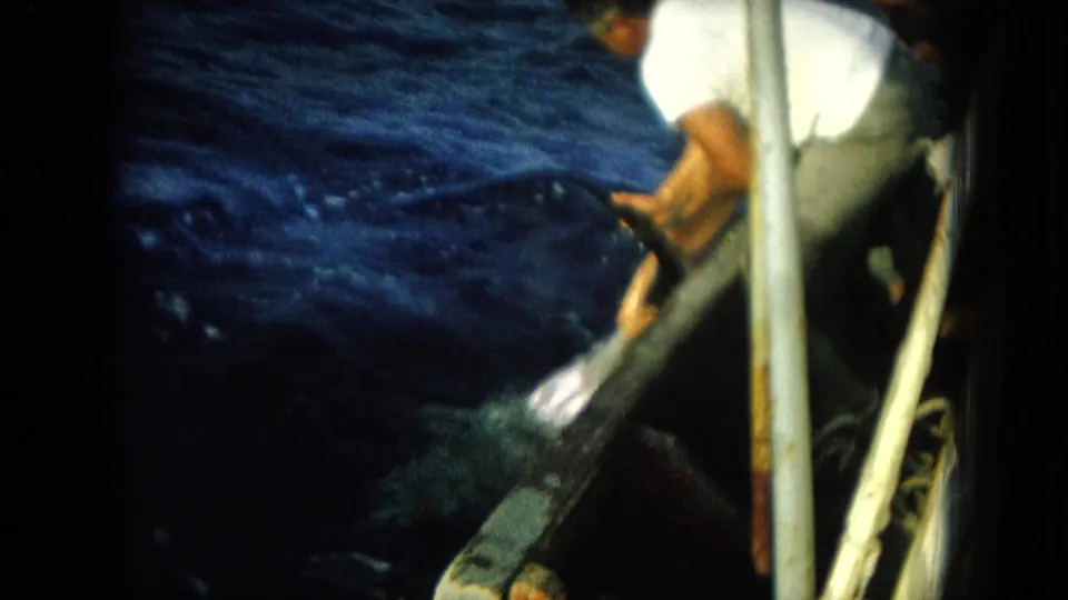 In the Hawaii fishing footage, an adult man crouches or leans near the boat rail while rough blue water fills most of the frame.