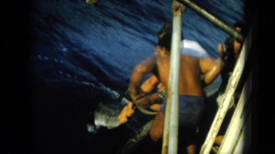 A shirtless adult man and another person lean over the side of the small boat as a large fish or shark thrashes near the surface in the dark blue water.