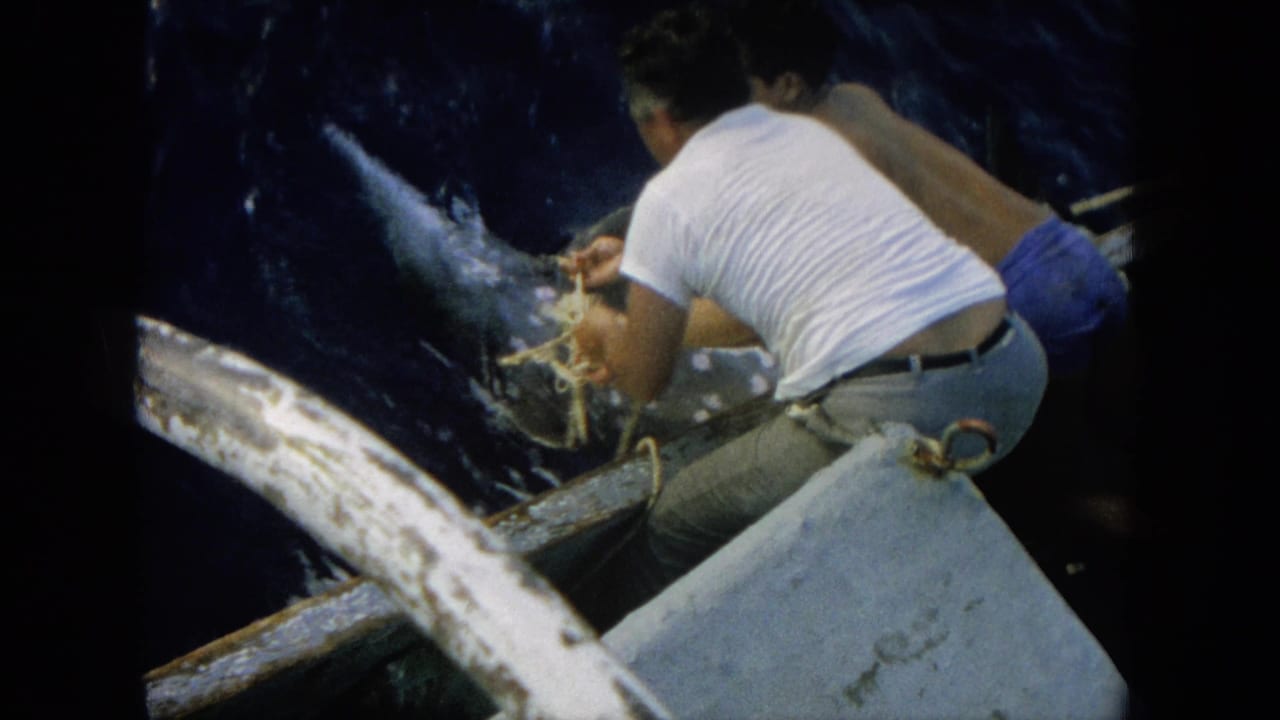 1964 Hawaii 8mm frame with a man in a white T-shirt using rope as another man stays low near the marlin beside the boat.