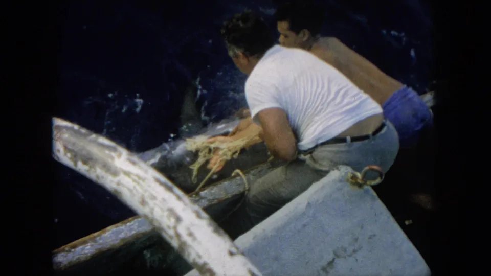1964 Hawaii 8mm frame showing the men close together over the side of a small boat as rope is handled near the marlin.