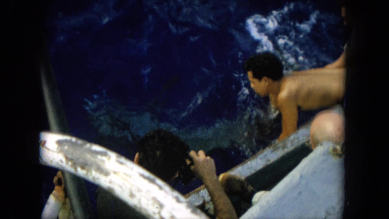 1964 Hawaii 8mm frame showing a dolphin in blue water beside a small boat with passengers leaning over the side.