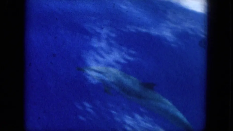 Blue underwater 8mm frame from 1964 Hawaii showing a dolphin-like form moving through rippled water.