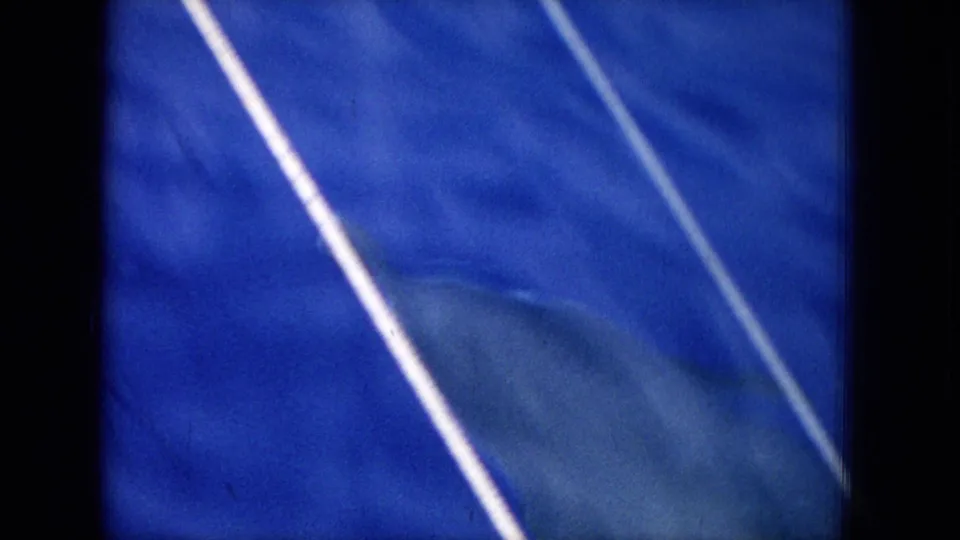 A dolphin moves near the lower frame beneath diagonal light reflections in blue 8mm Hawaii marine-life footage.