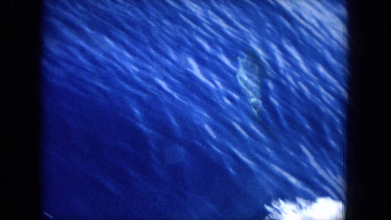 Textured blue ocean surface with ripples and a small patch of white water.