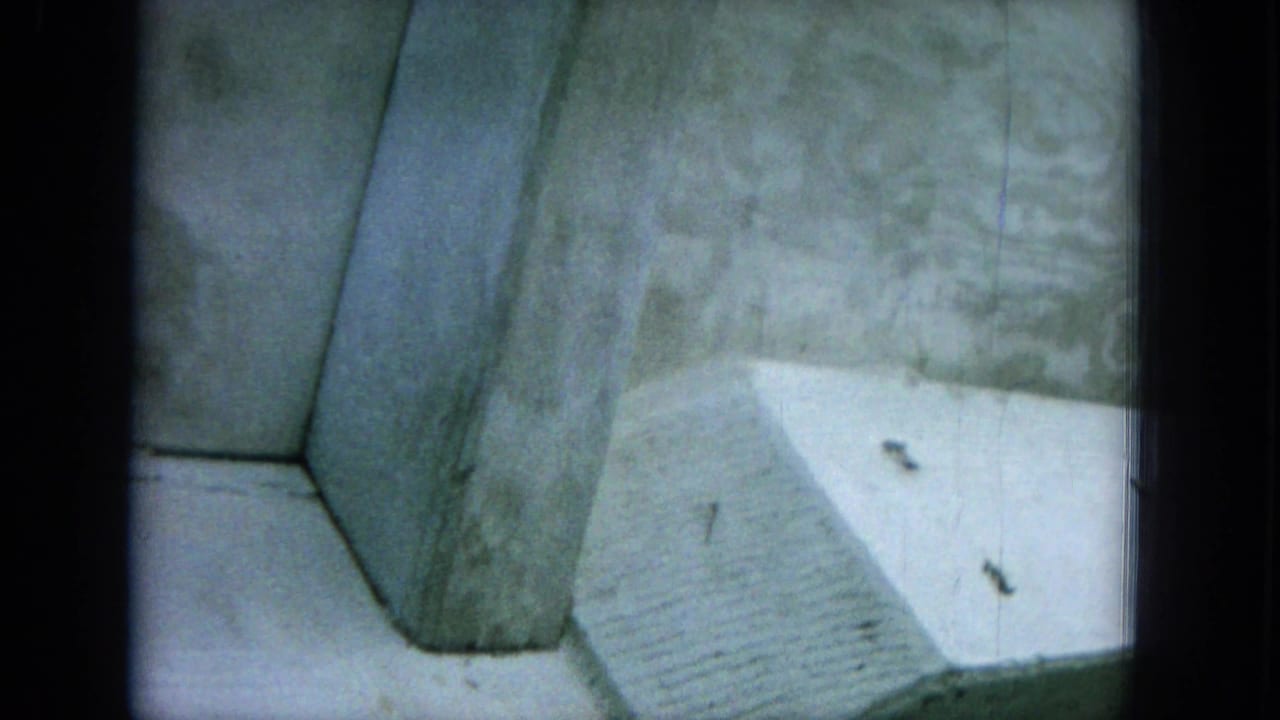 Close view of a pale boat surface or interior detail with film borders and soft exposure.