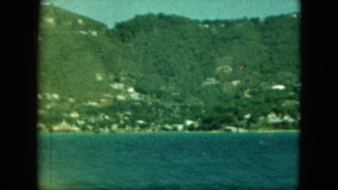 Tree-covered hill and shoreline buildings viewed across calm bay water.