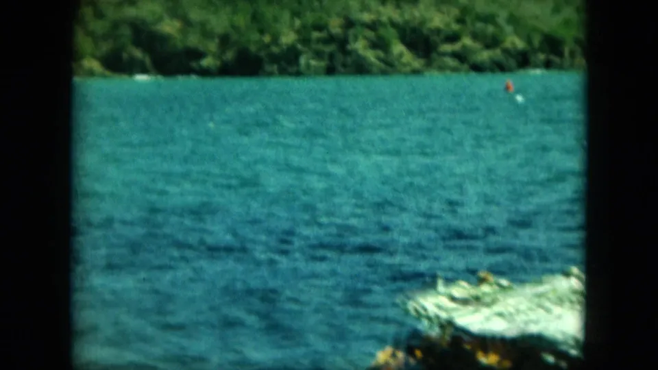 Blue coastal water and wooded Saint Thomas shoreline, with a small bright wake near the lower edge.
