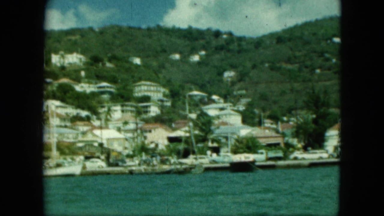 Coastal town on a green hillside with waterfront buildings and boats.