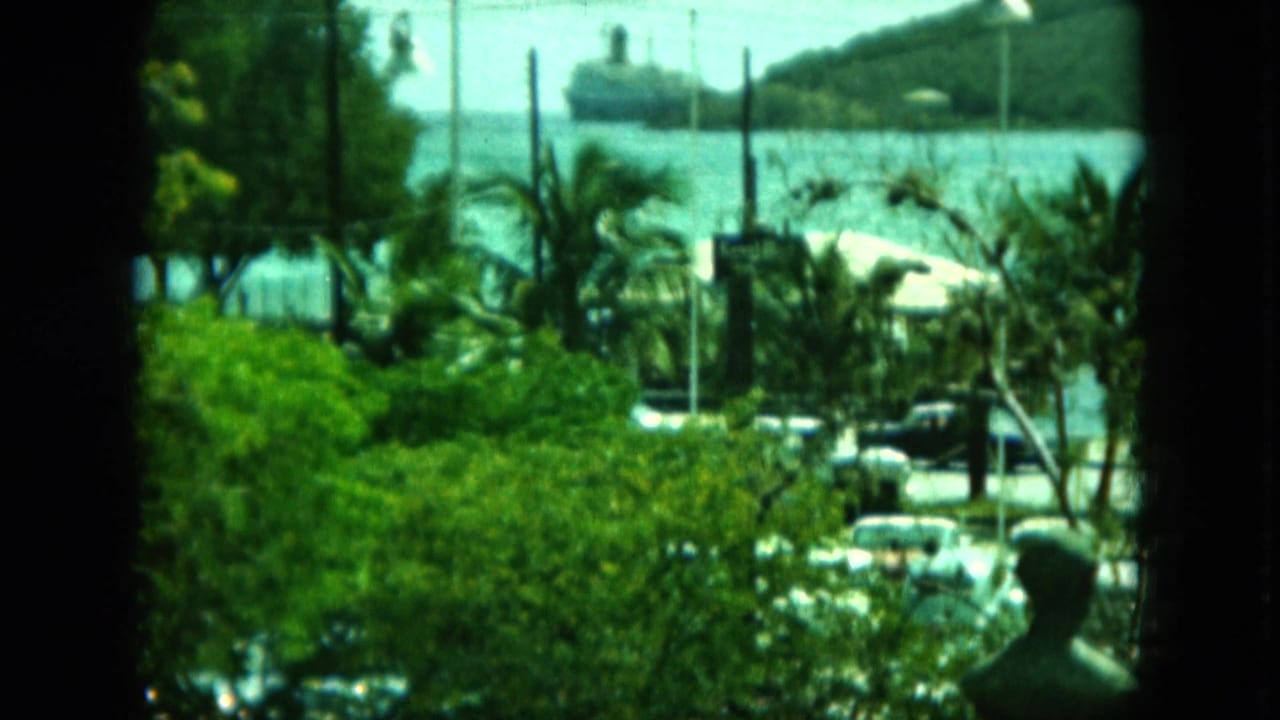 Palm-lined waterfront road and anchored ship viewed from behind a dark vertical frame.