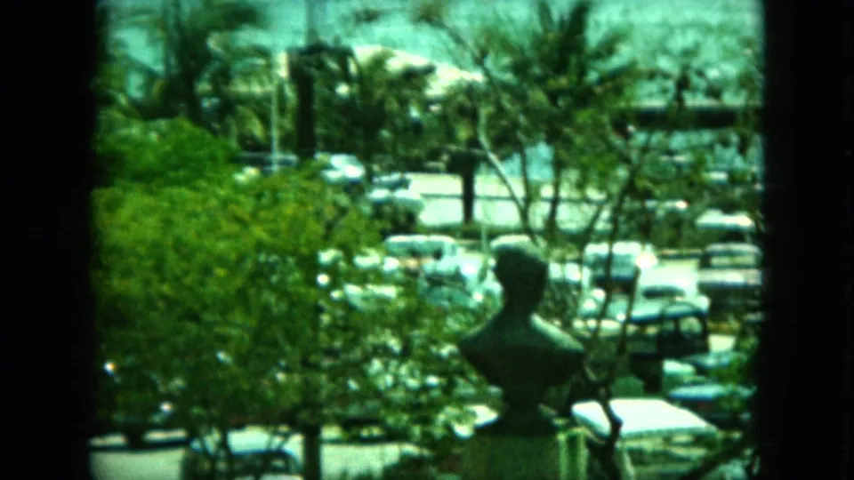 Soft 8mm view of a harbor-side street with clustered cars, palms, trees, and a dark bust or statue in the foreground.