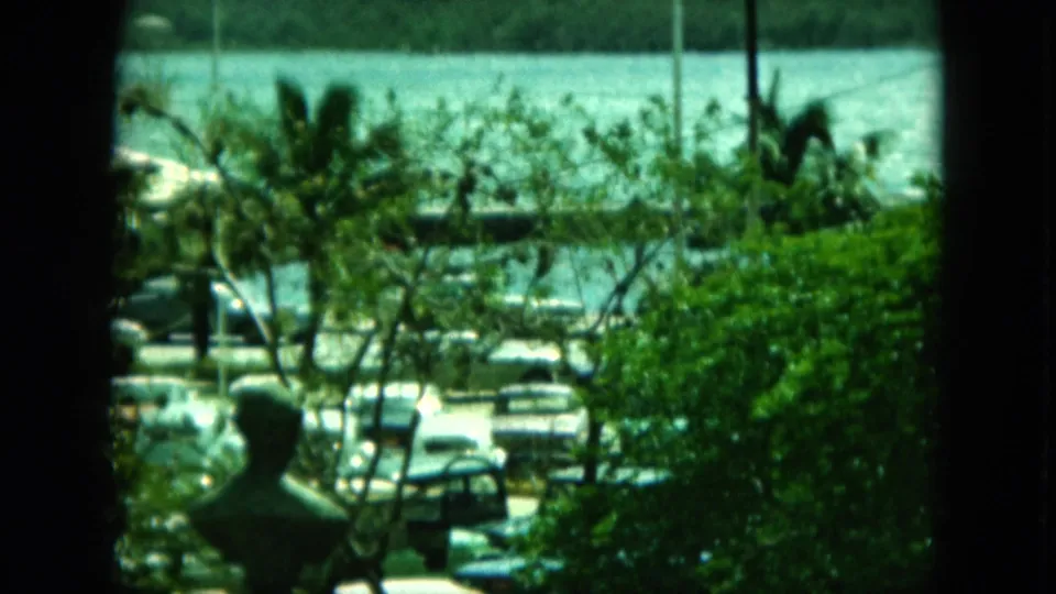 Final frame shows the same tropical harbor overlook, with parked cars, palms, water, and a silhouetted bust or statue in the foreground.