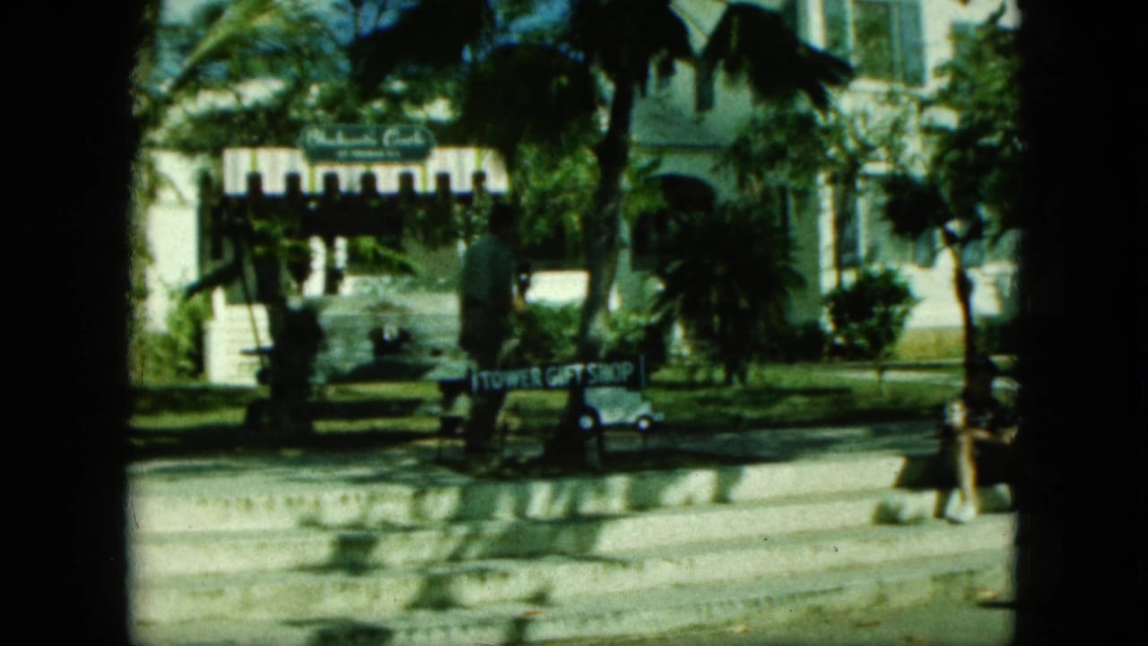Palm-lined street view with a tower sign, gift shop sign, parked car, and a passerby in sunlight.