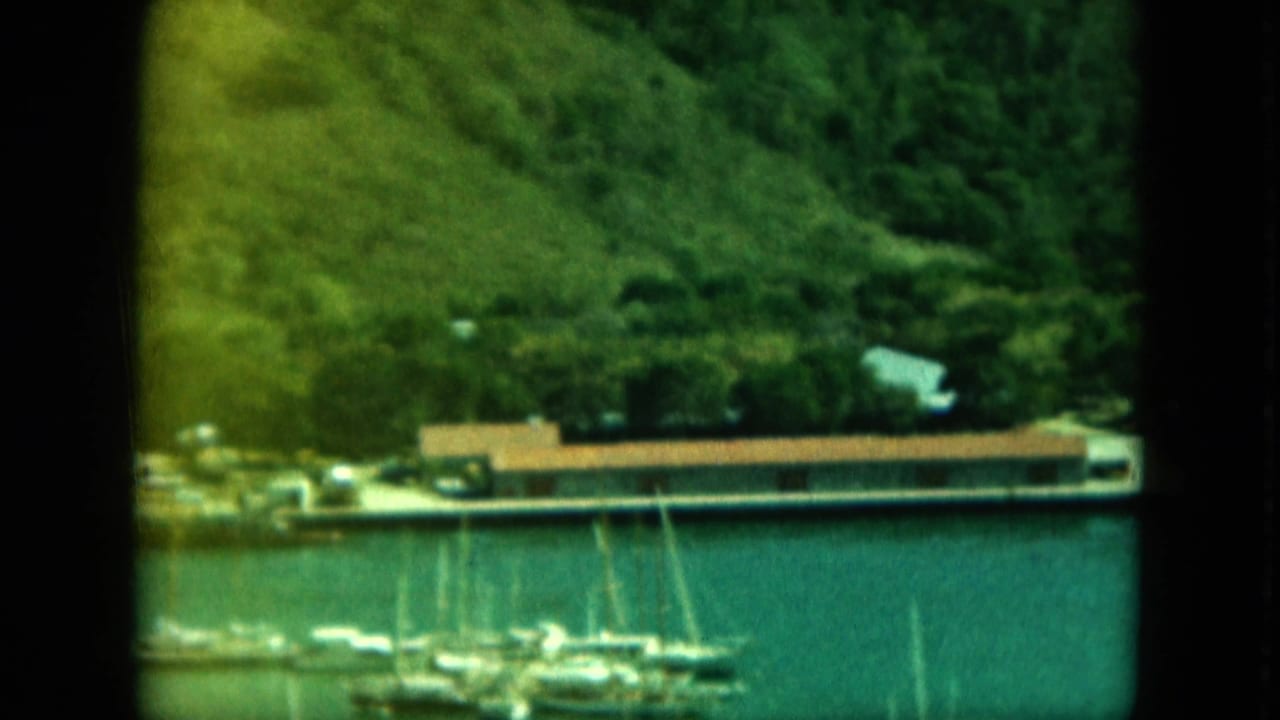 Waterfront buildings and sailboat masts along a harbor with dense green hillside behind.