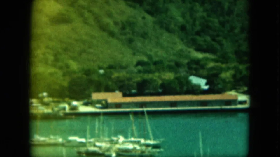 Elevated 1964 harbor view in Saint Thomas, showing masts, docks, low brown-roofed buildings, and a lush hillside backdrop.