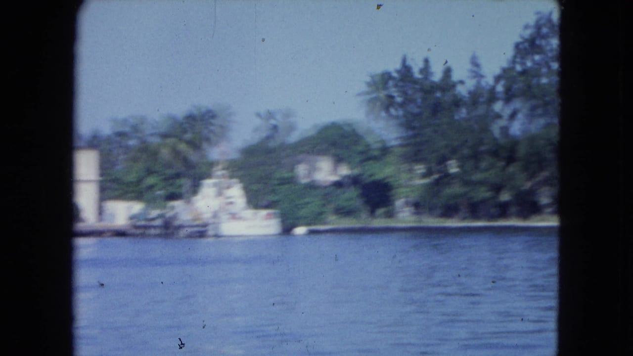 San Juan harbor view with calm water, shoreline trees, and pale waterfront structures in soft 8mm focus.