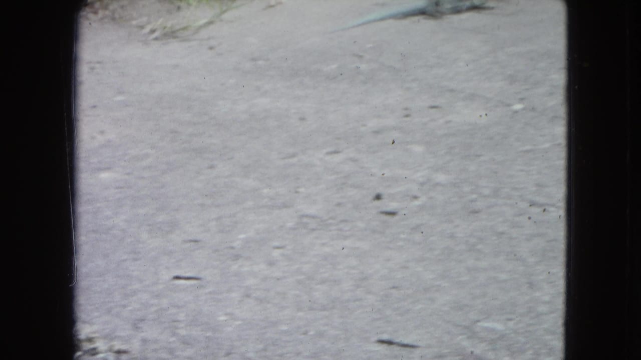 Ground-level 1964 8mm view of a paved surface in San Juan, with dark film borders and scattered small debris.