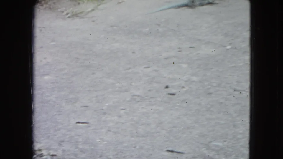 Ground-level 1964 8mm view of a paved surface in San Juan, with dark film borders and scattered small debris.