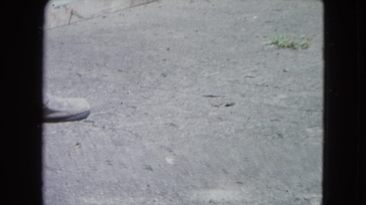Light-colored shoe stepping near a small lizard-like animal on pavement.