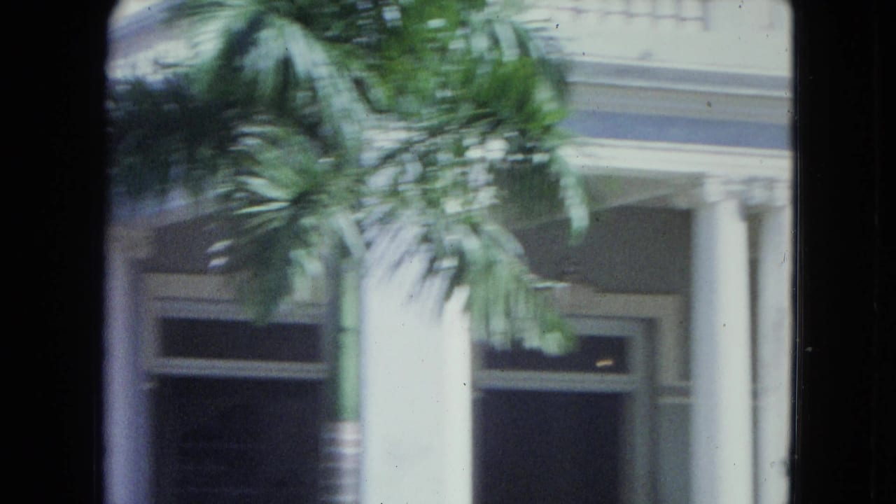 Soft view of white columns and tropical foliage seen through dark film-frame edges.