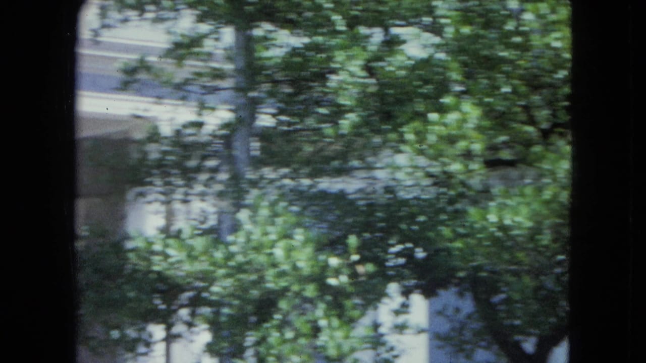 Leafy trees partially cover a light-colored building facade behind dark film borders.