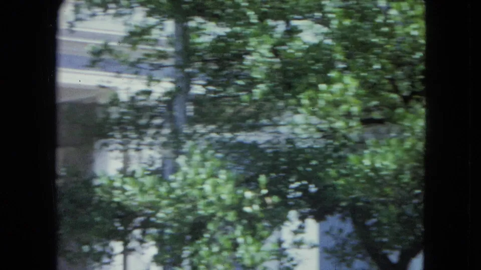 1964 San Juan footage shows dense green foliage in front of a light building, framed by 8mm gate edges.