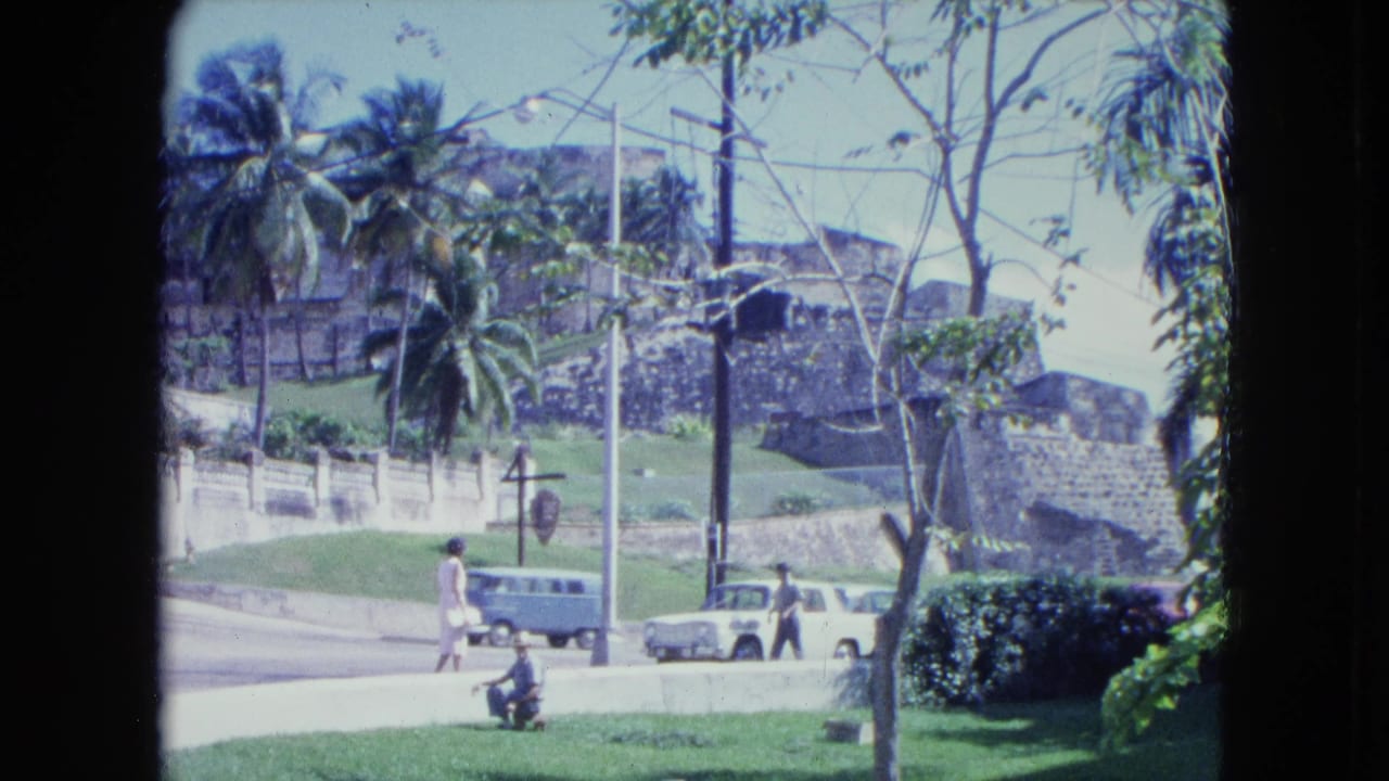 Pedestrian crossing near parked and moving cars with palm trees and stone walls behind the street.