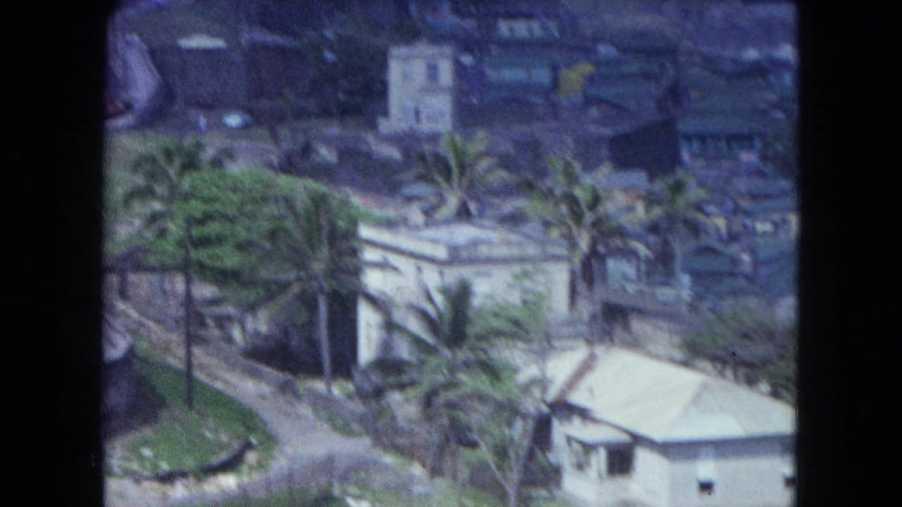 Elevated 1964 San Juan view of palm trees, low buildings, and roads in a tropical hillside neighborhood.
