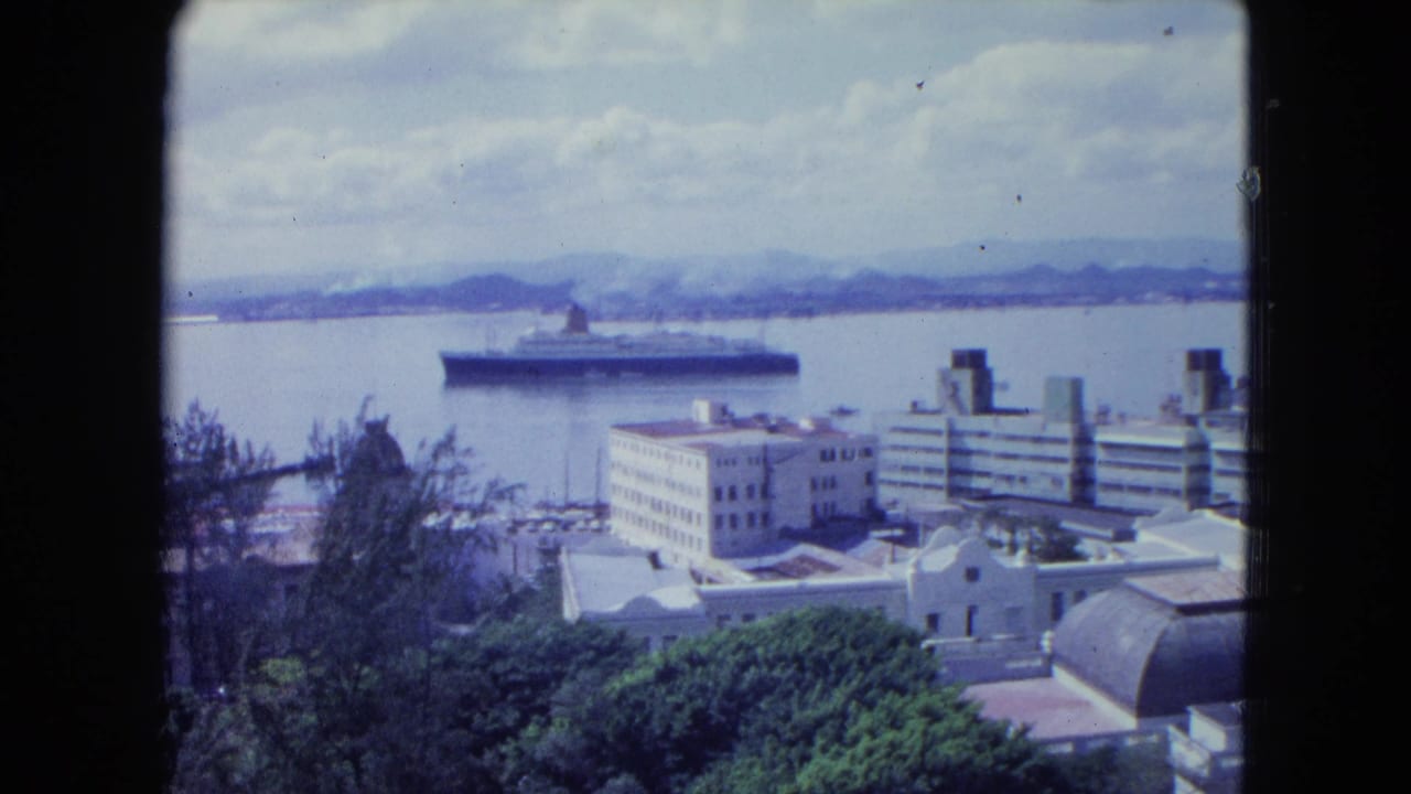 Elevated harbor view with an ocean liner beyond waterfront buildings and trees.